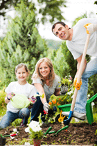 family gardening