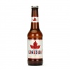Molson Canadian 12 x 330ml bottles