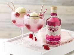 Shellys Raspberry Ripple Gin Liqueur